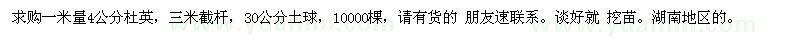求購杜英