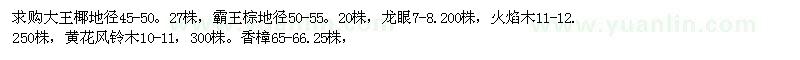 求購(gòu)大王椰、霸王棕、龍眼
