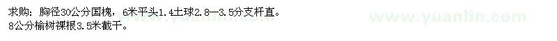 求購胸徑30公分國槐、8公分榆樹