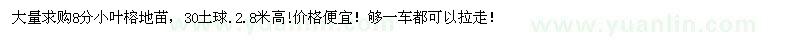 求購(gòu)8公分小葉榕