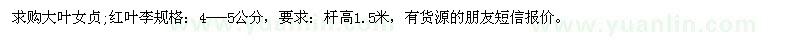 求購大葉女貞、紅葉李