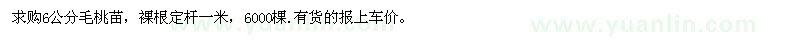 求購6公分毛桃苗
