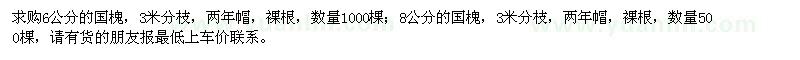 求購國槐