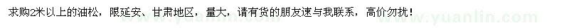 求購2米以上油松