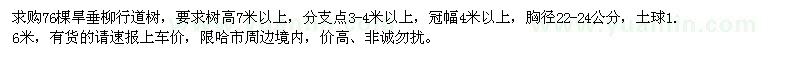 求購旱垂柳行道樹