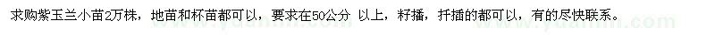 求購50公分以上紫玉蘭小苗