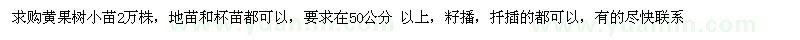 求購50公分以上黃果樹小苗