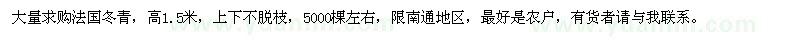 求購法國冬青