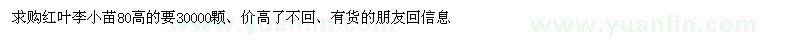 求購紅葉李小苗