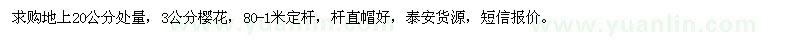 求購3公分櫻花