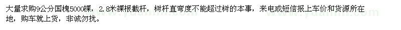 求購9公分國槐