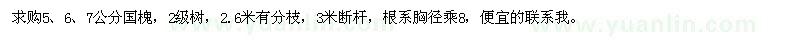 求購(gòu)5、6、7公分國(guó)槐
