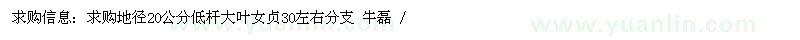 求購(gòu)地徑20公分低桿大葉女貞