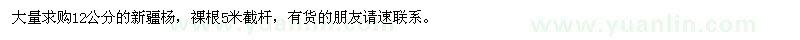 求購(gòu)12公分新疆楊