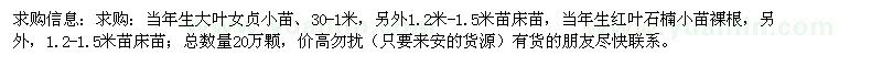求購當(dāng)年生大葉女貞小苗