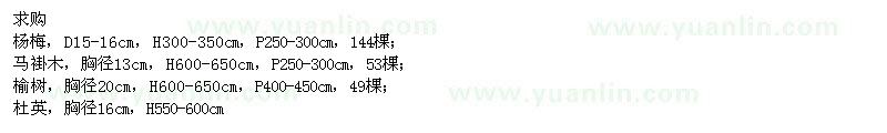 求購楊梅、馬褂木、榆樹