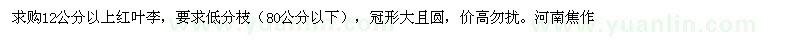 求購紅葉李