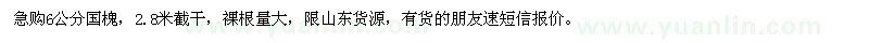 求購6公分國槐