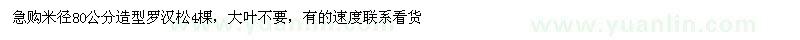 求購米徑80公分造型羅漢松