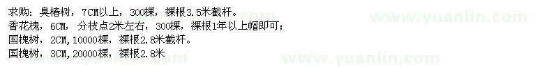 求購臭椿樹、香花槐、國槐樹