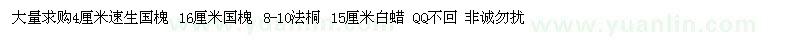 求購速生國槐、國槐、法桐