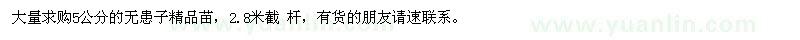 求購5公分無患子精品苗