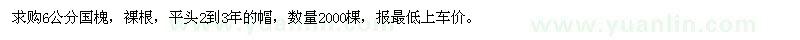 求購6公分國槐