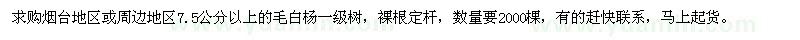 求購7.5公分以上毛白楊一級樹