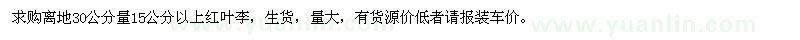 求購離地30公分量15公分以上紅葉李