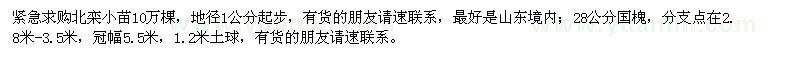 求購北欒小苗、國槐