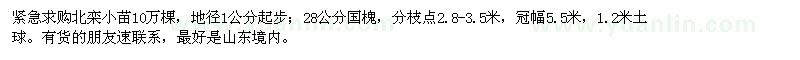求購(gòu)北欒小苗、28公分國(guó)槐
