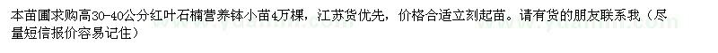 求購高30-40公分紅葉石楠小苗
