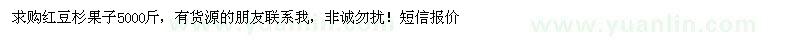 求購紅豆杉鮮果