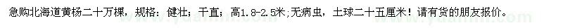 求購高1.8-2.5米北海道黃楊