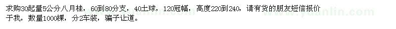 求購30起量5公分八月桂