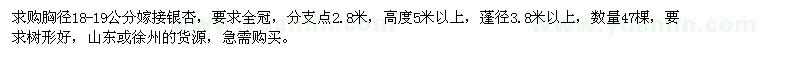 求購胸徑18-19公分嫁接銀杏