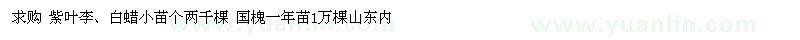 求購(gòu)紫葉李、白蠟小苗
