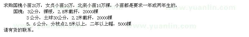 求購國槐小苗、女貞小苗、北欒小苗、國槐