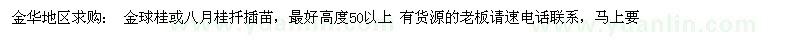 求購金球桂或八月桂扦插苗