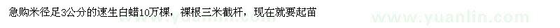 求購速生白蠟