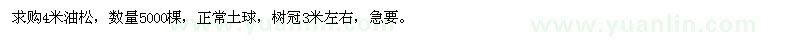 求購4米油松