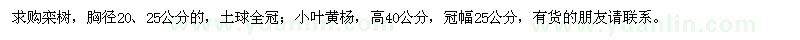 求購(gòu)欒樹(shù)、小葉黃楊