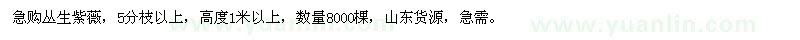 求購叢生紫薇