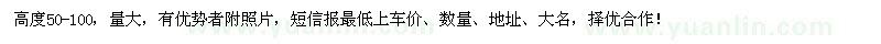 求購樹狀紫藤小苗