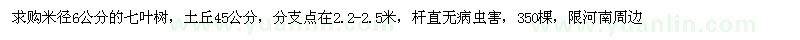 求購米徑6公分七葉樹
