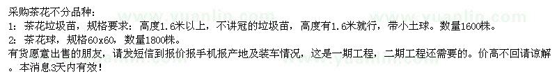 求購茶花不分品種