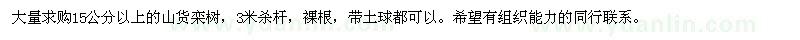 求購15公分以上山貨欒樹