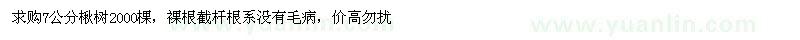 求購7公分楸樹