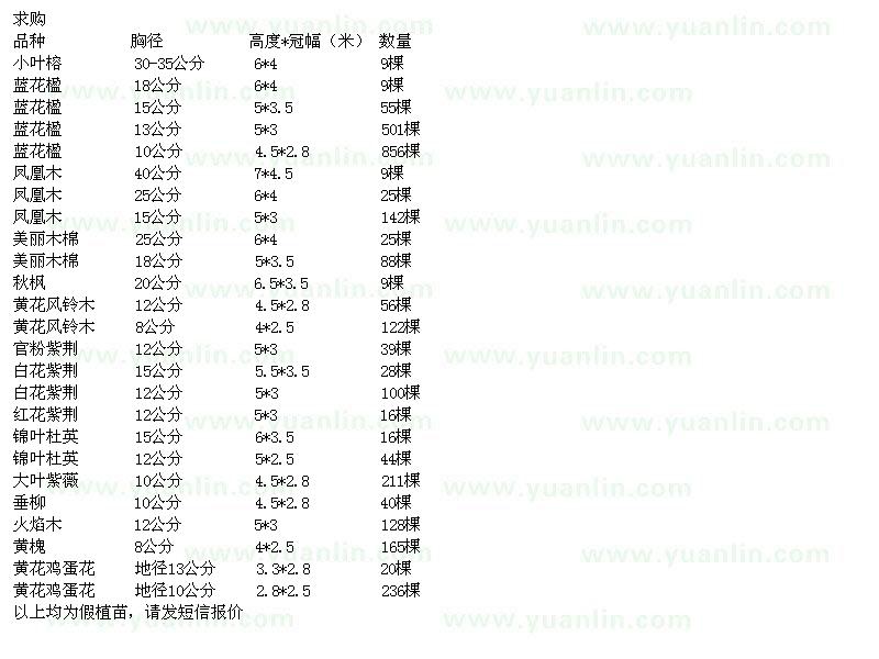 求購小葉榕、藍(lán)花楹、鳳凰木等