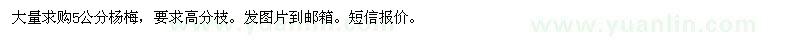 求購5公分楊梅